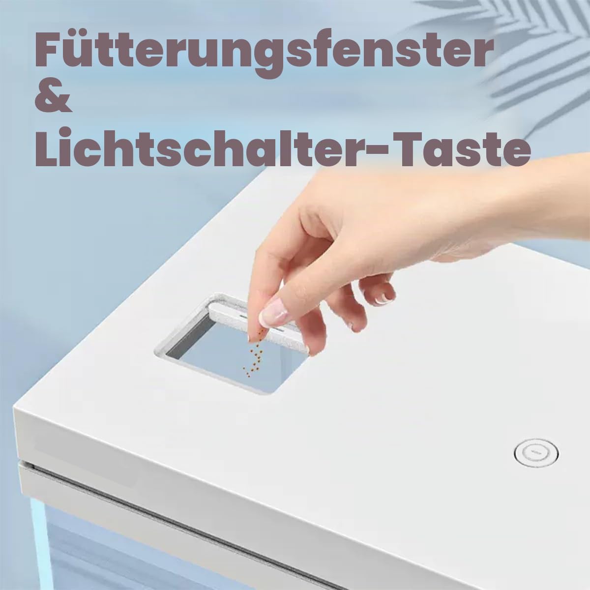 10 l Aquarium, Nano-Glas-Aquarium, Upgrade-Filtersystem und LED-Licht, für Süßwasser und Marine, Filterbälle im Lieferumfang enthalten (Weiß, 10 l)