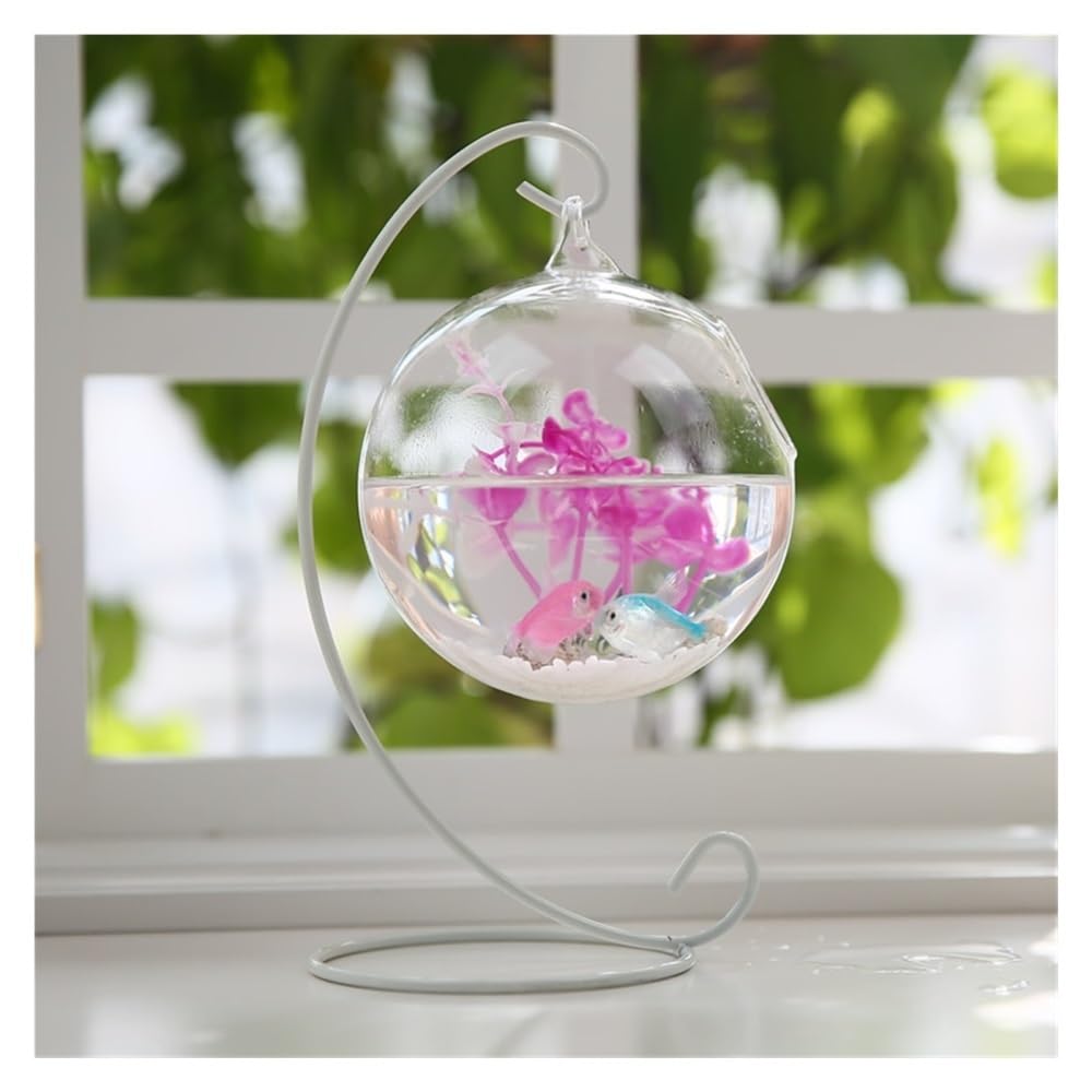 Zbiornik na ryby Wiszący przezroczysty zbiornik na walczące ryby do akwarium na biurko, mały, szklany zbiornik na złotą rybkę(Black,23cm)