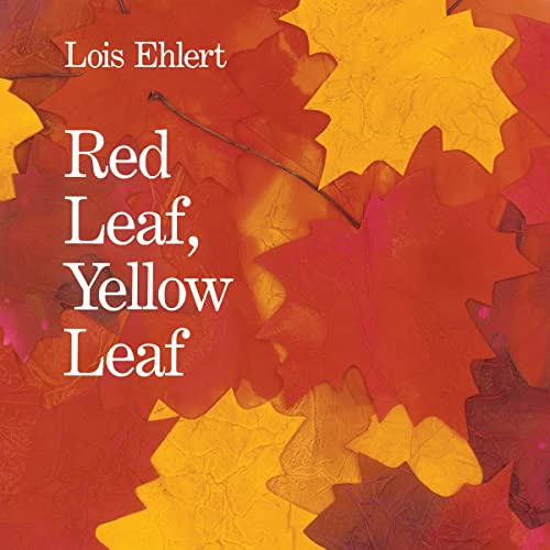 Red Leaf, Yellow Leaf: A Bold Watercolor Collage About Trees, Roots, and Nature for Kids (Ages 4-8)
