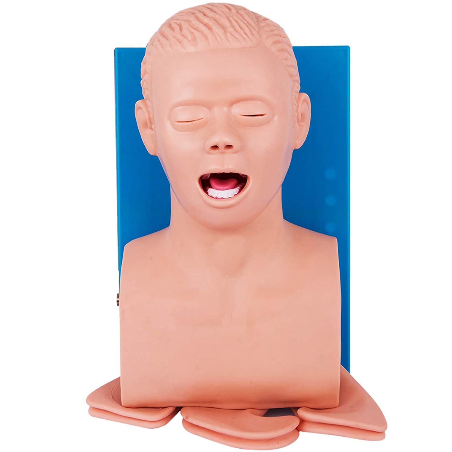 YNIYUJKL Adult Intubation Model,Pvc Adult Intubation Manikin Teaching Model, Airway Management Trainer Tracheal Intubation Training Simulator Model Science Lab