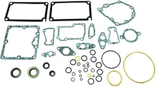Stevens Lake Parts One New Group-Fuel System Gasket Seal Kit Various Applications & 3208 225 613 Models 6N3723