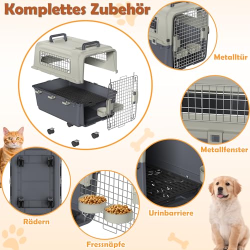 Froadp Transportbox für Haustiere Hund Katze Hundebox aus PP Kunststoff 67x51x58.5cm Katzentransportbox Hundetransportbox mit Rädern & Urinabstandshalter & Hängende Fressnäpfe Katzenbox