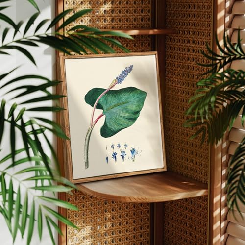 crmotu Botanical Framed Wall Art, Green Leaf Canvas Art Prints, Nature Plant Study Vintage Pictures, Minimalist Rustic Farmhouse Wall Decor, Bedroom Kitchen Desktop Bathroom Decorations, 9x11inch