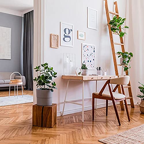 Image of 70pcs 100 lb Picture Hangers, Wall Hanging Kit, Hooks Notch Design with nails on Wooden Drywall for Canvas, Clock, Decoration (Two Colors)
