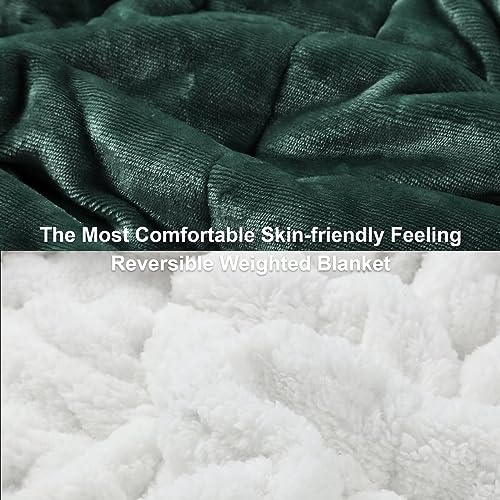 Image of Alomidds Weighted Blanket for Adults, Twin Size 12 lbs Weighted Blankets,Heavy Blanket with Reversible Soft Shiny Fleece and Cozy Warm Sherpa for Couch Bed, 48 x 72 inches,Green