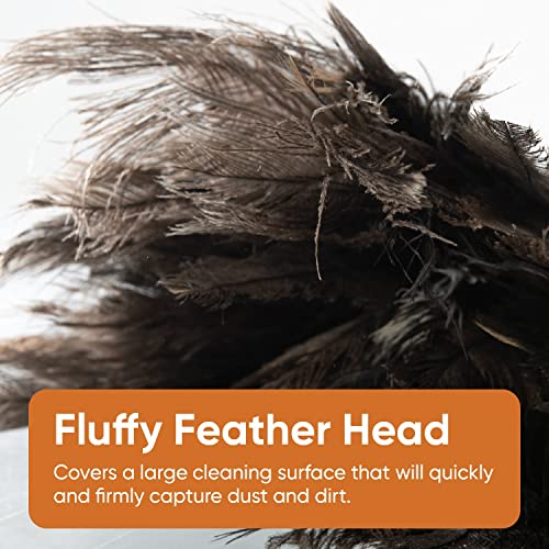 Image of Superio Ostrich Feather Duster Fluffy Dust Remover, with Wooden Handle Reusable for Cleaning Homes, Ceilings, and Furniture (3 Pack) (3 Pack)