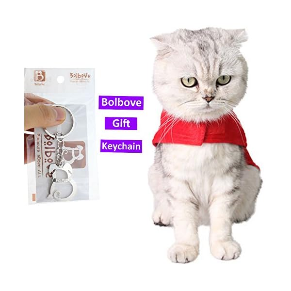 Bolbove pet christmas santa claus suit costume with hat for cats puppies - image 7