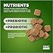 GNC Pets Essentials Digestion Dog Supplements, Probiotic Support Soft Chews in Bacon Flavor for Dogs, Daily Digestion Aid in Reusable Container - Puppy & Adult Pet Health Supplement, 60 Count