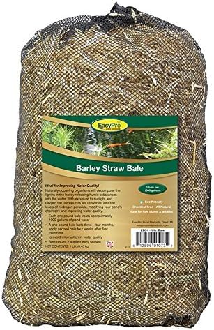 EASYPRO ebs1 Ballot de paille d'orge pour bassin et Cascades, 1pound