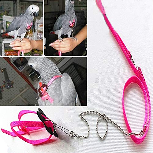 DAYOLY, Pettorina e guinzaglio Regolabile per