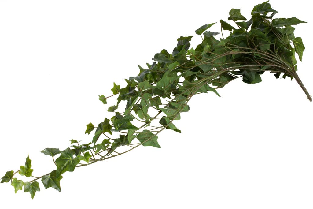 Amazon.de: Botanic-Haus knstlicher Efeu Hngebusch, Kunstpflanze Englisch  Efeu ca. 86 cm lang, Farbe: grn