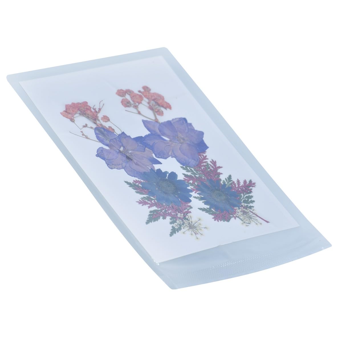 Pressed Flower Art Frame, Blue and Pink Dried Floral Arrangement, Decorative Wall Display, DFPD03-image-5