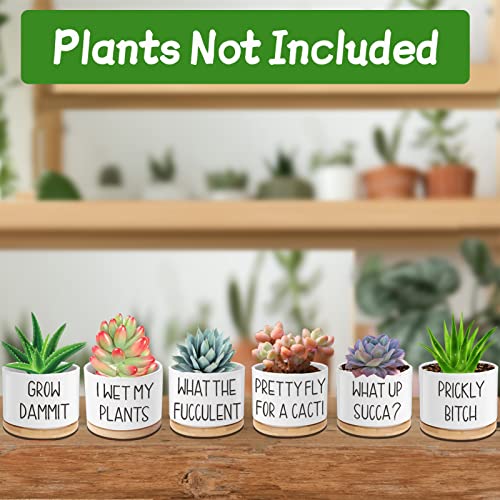 Succulent Pots 6 Pack, 3.15” Ceramic Funny Succulent Planters With Drainage And Bamboo Tray, Small Plant Pots With Plant Labels For Indoor Outdoor Plant, Birthday Gifts For Women - Plants Not Included #TOP5
