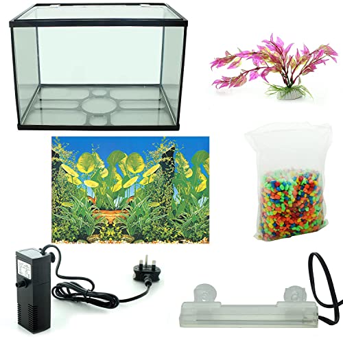 10 Best Starter Tropical Fish Tank June 2023