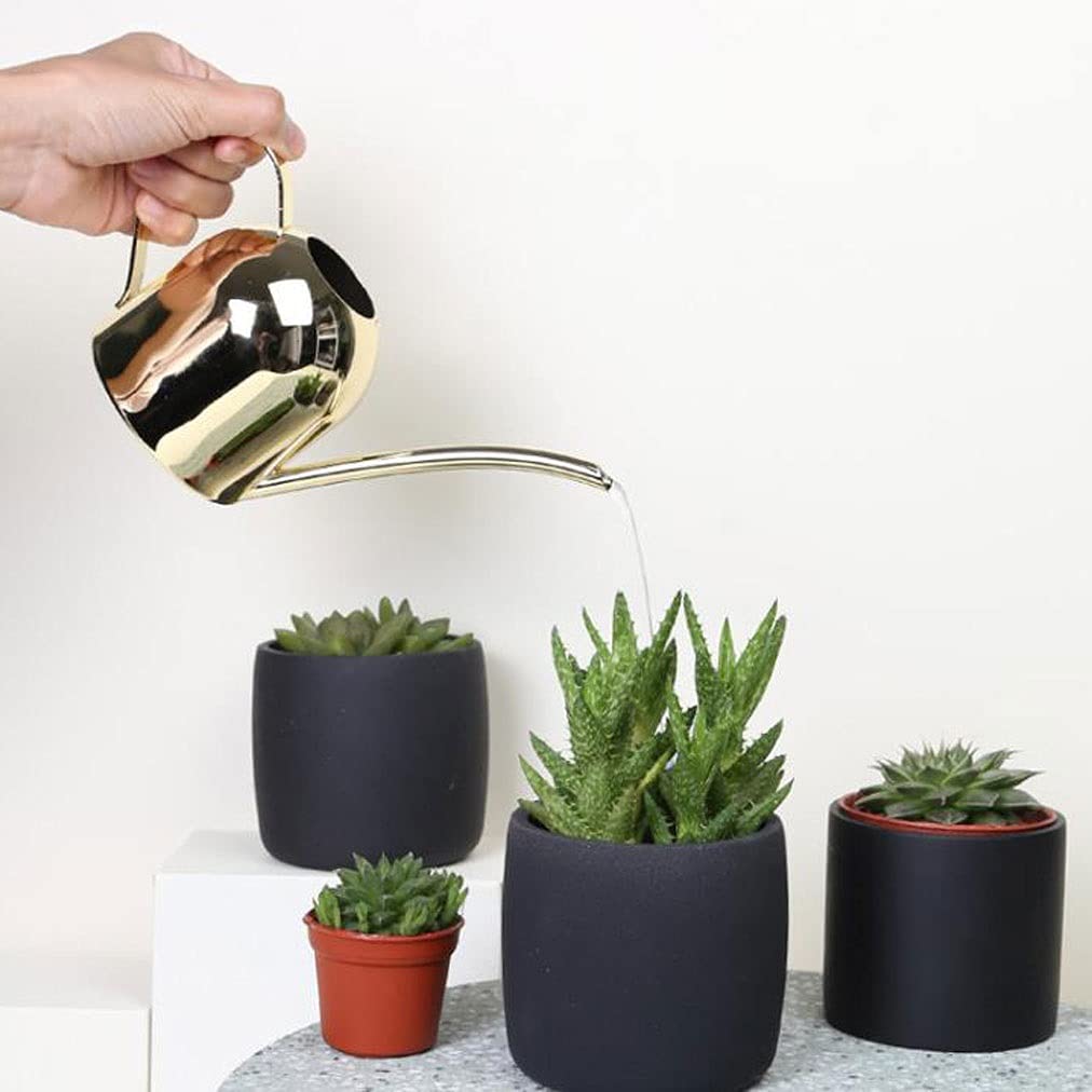 Liudan Konewka ze stali nierdzewnej długa wylewka, mały donica, złote małe konewki do sukulentów bonsai, puszka na wodę 900 ml (kolor: Złoty)