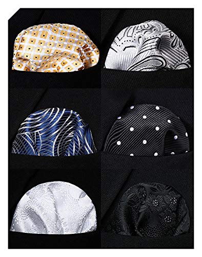 HISDERN 6 Piece Assorted Woven Men's Pocket Square Handkerchief Wedding Gift