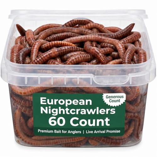 BESTBAIT 60 Count Super Red European Nightcrawlers for Composting and Garden Soil Aeration Large Nightcrawlers Improve Soil Structure and Quality for Healthier Gardens