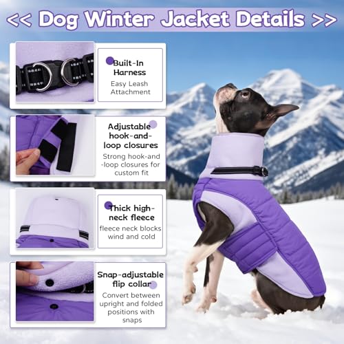 Image of BRKURLEG Dog Coat, Turtleneck Winter Jacket with Harness for Small Medium and Large Dogs, Windproof Reflective Warm Fleece Dogs Snowsuit with Hook & Loop, Dog Coats for Cold Weather, Purple XXL
