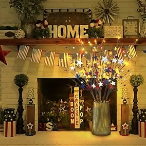 6pcslightedpatrioticartificialflowers4thofjuly278fakeberrypicksstemswith60ledlightsbatteryoperatedredwhitebluetwigbranchesforindependencedayvasehomedecor Urban Country Home Decor 6 pcs lighted patriotic artificial flowers 4th of july 278 fake berry picks stems with 60 led lights battery operated red white blue twig branches for independence day vase home decor urban country home decor