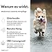 VetDok® by Dr. Winkler dermatologisches Hundeshampoo – Fellpflege Hund mit Manuka-Honig & Chlorhexidin – für alle Hunderassen, Welpen & speziell Allergiker – 250ml