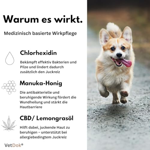 VetDok® by Dr. Winkler dermatologisches Hundeshampoo – Fellpflege Hund mit Manuka-Honig & Chlorhexidin – für alle Hunderassen, Welpen & speziell Allergiker – 250ml