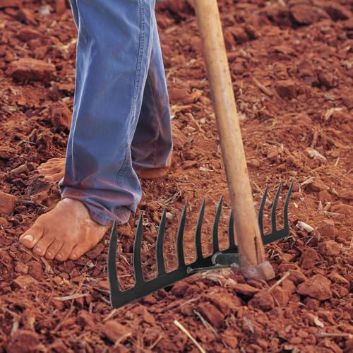 Rastrillo de jardín SHINEOFI de 11 púas para suelta de suelo miniatura 5