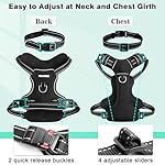 WINSEE Dog/Pet Harnesses No Pull with Dog Collar, Adjustable Reflective Oxford Outdoor Vest, Front/Back Leash Clips for Small, Medium, Large, Extra Large Dogs, Easy Control Handle for Walking - Image 5