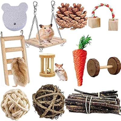 ACLUYSKA Hamster Guinea Pig Toys, 21PCS Small Animal Activity Chew Toys Accessories Molar Teeth Care Natural Apple Wood Ladder Bell Roller for Dwarf Hamsters Rat Chinchillas Gerbils Bunnies (21PCS)