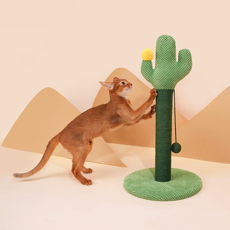 árbol para Gatos Cactus Gato Escalada Marco Gato rascador Gato Juguete Gato de pie pequeño Gato Escalada Poste Gato rascador Actividades para Gatos Muebles para Gatos