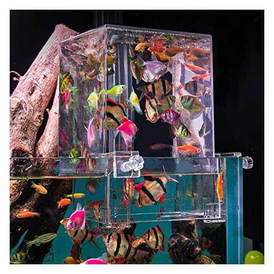 Hifybaty Fish Tank