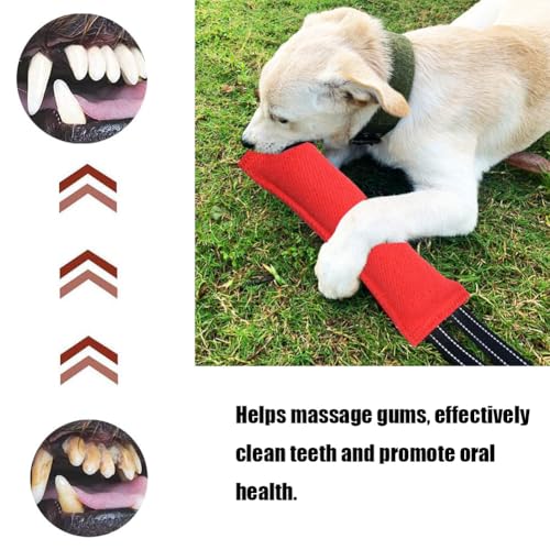LZDGCC Pacote com 2 brinquedos para cães Tug of War, brinquedos interativos para cães, travesseiro d