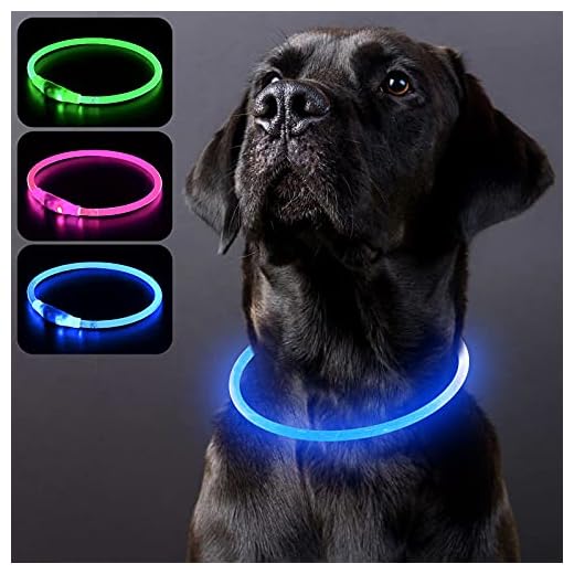 PZRLit Collar Luminoso Perro Recargable, Collar Luz Perros Impermeable, Collar LED Perro para Perros Pequeños Cachorro, Medianos y Grandes, Collar Reflectante Perro de Seguridad-Azul