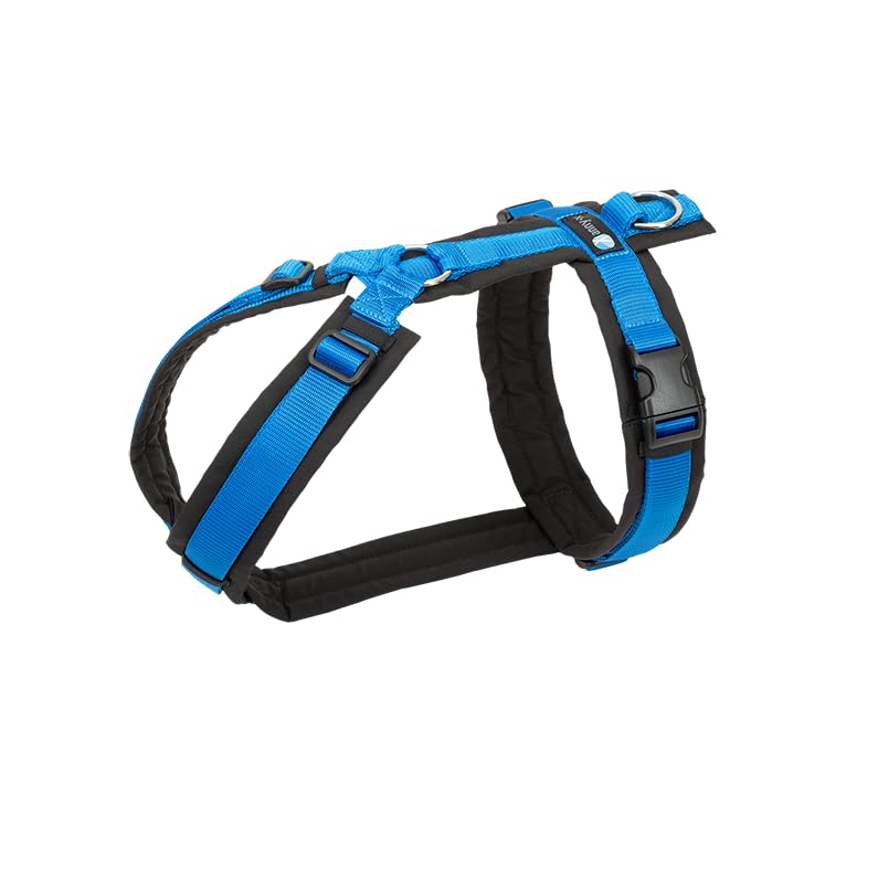 Anny-X Brustgeschirr Fun Schwarz-Blau | Hundegeschirr Größe S (Brustumfang 52-64 cm)