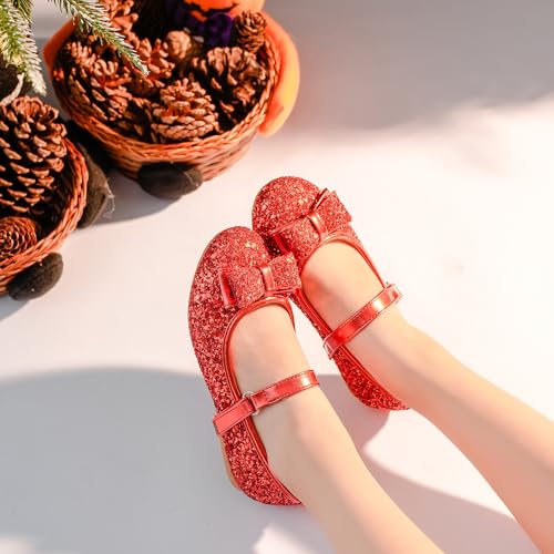 Toddler Girls Dress Shoes - Black Floral Mary Jane Flats for Girls - Water Resistant - All Seasons - Casual - Wedding, Dance, Daily Wear3