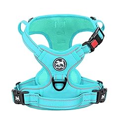 Mint Blue(Matching Trim)