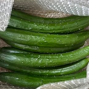 きゅうり - Amazon.co.jp