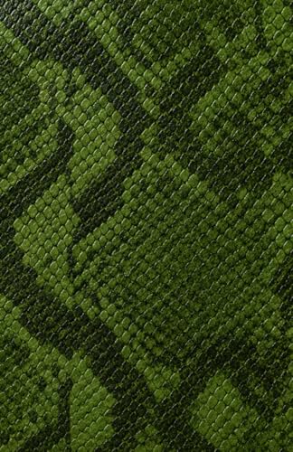  Green Snake Skin Note Book