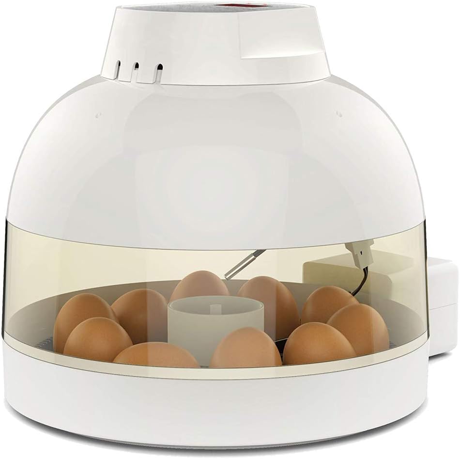 TAIMIKO Egg Incubator 10 Eggs Automatic Egg Incubator Poultry Hatcher Digital LED Display Auto Temperature Control Easy to Observe for Chickens Ducks Birds Family Use