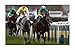 Produktbild Daryl Jacob - Neptune Collognes Signiert Autogramme 21cm x 29.7cm Plakat Foto