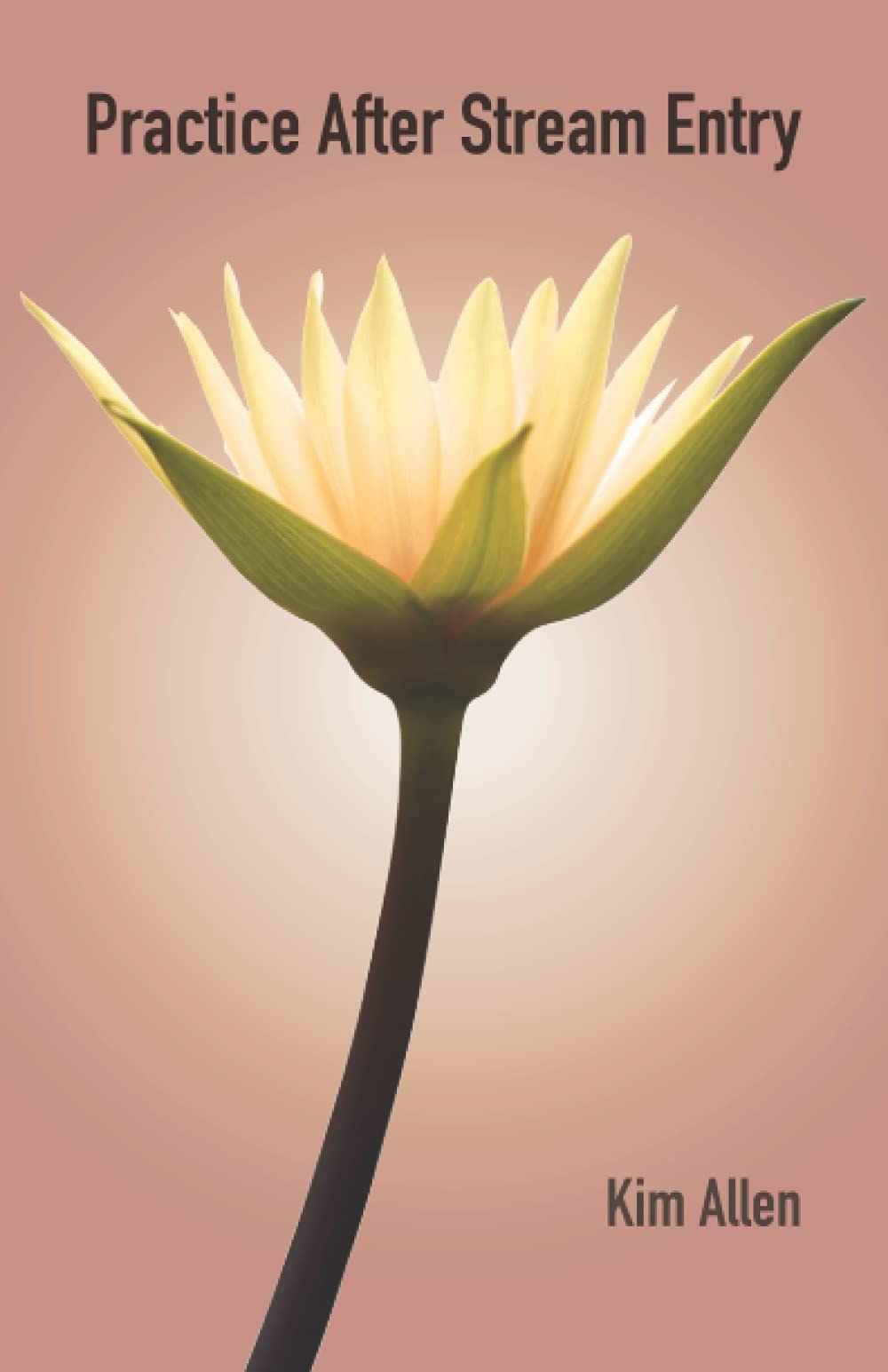 Practice After Stream Entry