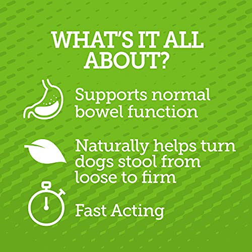 Stop The Runs | Anti Diarrhea Chewables | 6 Count #TOP1