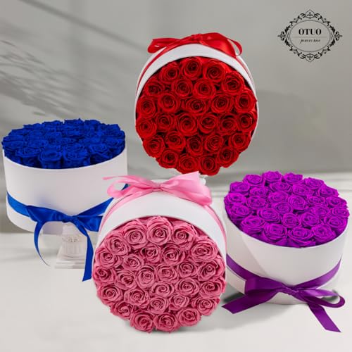 27 Piece Preserved Roses in a Box - Forever Flowers for Delivery Prime, Eternal Roses Mothers Gifts for Mom, Wife Anniversary Birthday Gifts for Women, Red - Image 5