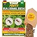 Produktbild GREEN GUARDIA Power Hypoaspis miles Raubmilben gegen Trauermücken & Rote Vogelmilben  Streuware - Umweltfreundliches Mittel zur effektiven Schädlingsbekämpfung  (1x Tüte für 10m²)