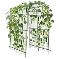 7ft Heavy Duty Garden Arch Trellis - Metal Cucumber Trellis for Raised Beds, Outdoor Steel Plant Support with Bolt Assembly & Stakes for Climbing Vegetables, Flowers
