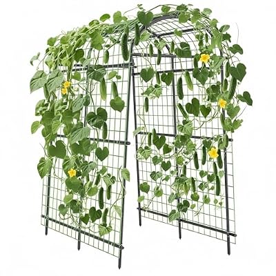 7ft Heavy Duty Garden Arch Trellis - Metal Cucumber Trellis for Raised Beds, Outdoor Steel Plant Support with Bolt Assembly & Stakes for Climbing Vegetables, Flowers