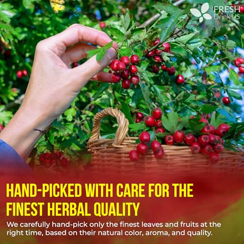 Image of FreshDrinkUS, Premium Improve Colon Tea | 75 Tea Bags | Herbal Tea Blend with Senna Leaves, Lotus Leaves, Hawthorn Berry, Ginger & More - Caffeine Free Botanical Tea - Natural Daily Herbal Infusion