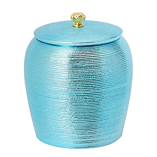 Urne funéraire commémorative portable pour cendres chat et chien
