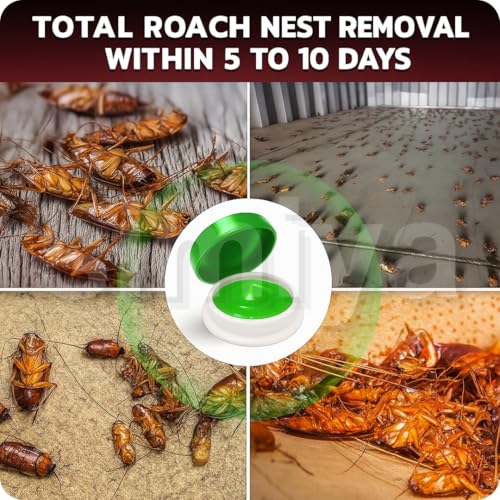 Image of Powerful Cockroach Killer Gel for Home | Strong Repellent Trap for Kitchen Roach Bait (12 Pieces)