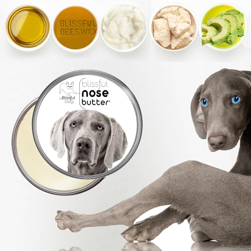 Image of The Blissful Dog Weimaraner Unscented Nose Butter - Dog Nose Butter, 4 Ounce