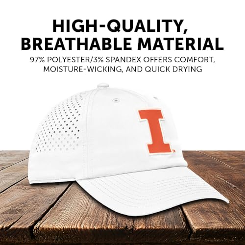 Desert Cactus Illinois Snapback Hat miniatura 4